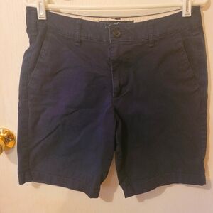 Men's Navy Shorts Hollister